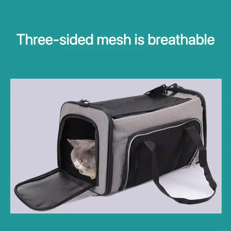 กระเป๋าเป้สะพายหลังสำหรับสัตว์ - Travel Accessories Manufacturer บทวิจารณ์และราคา